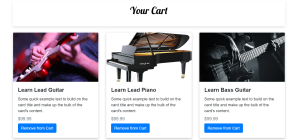 cart page (how to create a musician website)